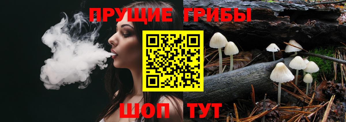 Галлюциногенные грибы Psilocybine cubensis Павлово